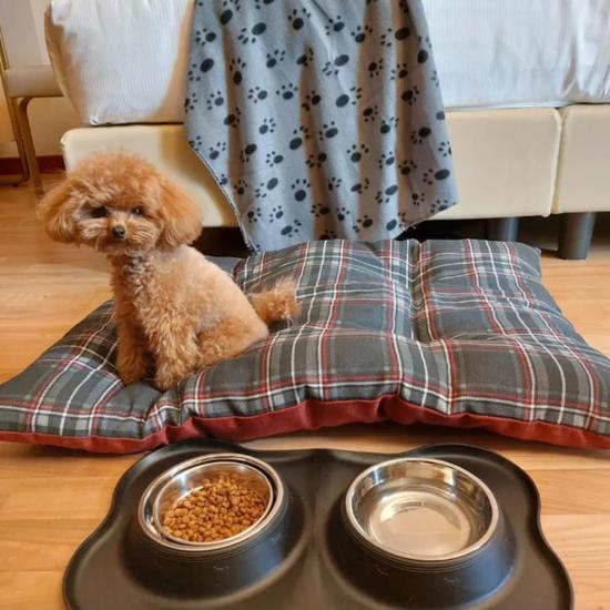 PET LOVERS Hotel Raffaello PET LOVERS Hotel Raffaello