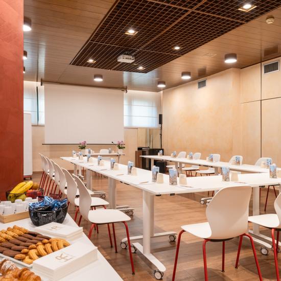 CARAVAGGIO ROOM Hotel Raffaello Milan CARAVAGGIO ROOM Hotel Raffaello Milan